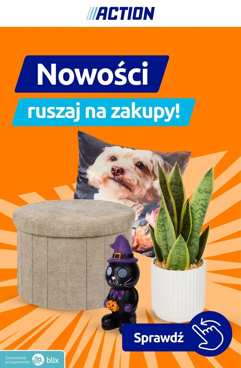 Action gazetka promocyjna od 10.09.2026