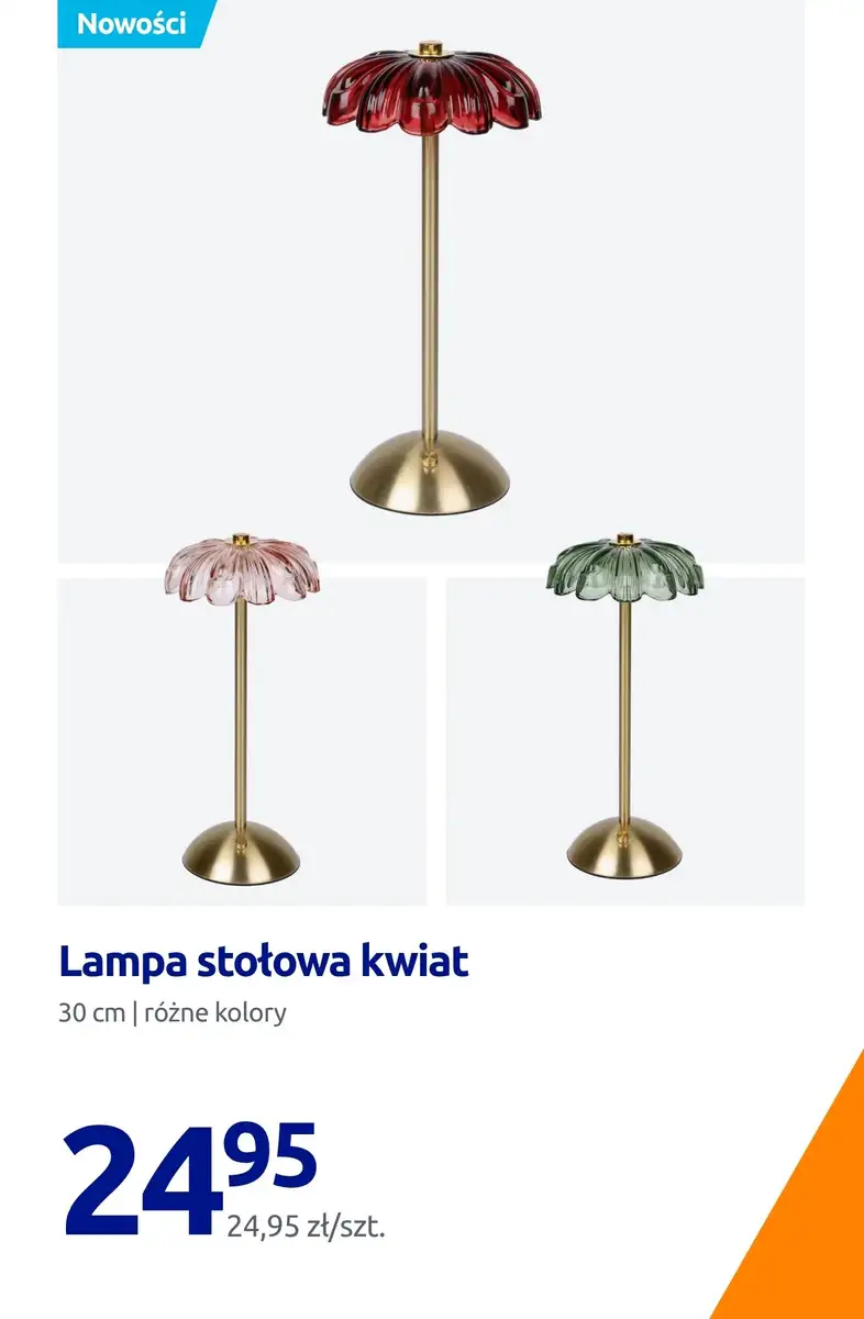 Action gazetka od 29.10.2026 – Nowości - strona 5