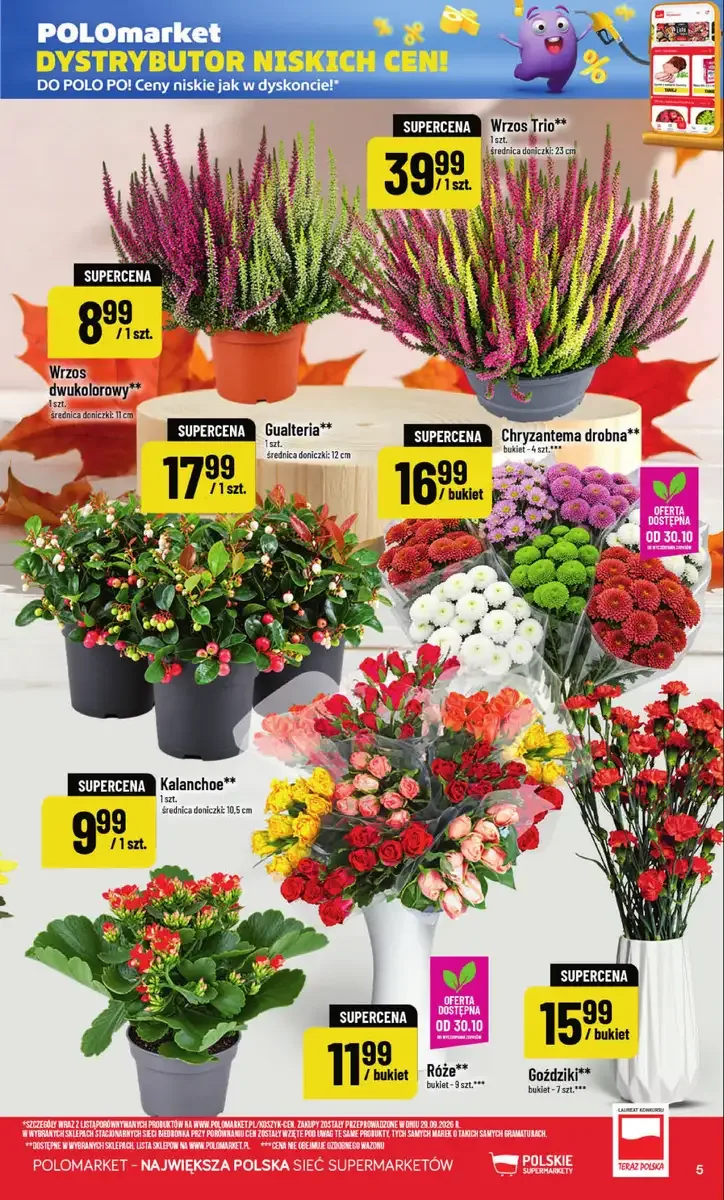 POLOmarket gazetka od 28.10.2026 – Mięso, nabiał, znicze - strona 5