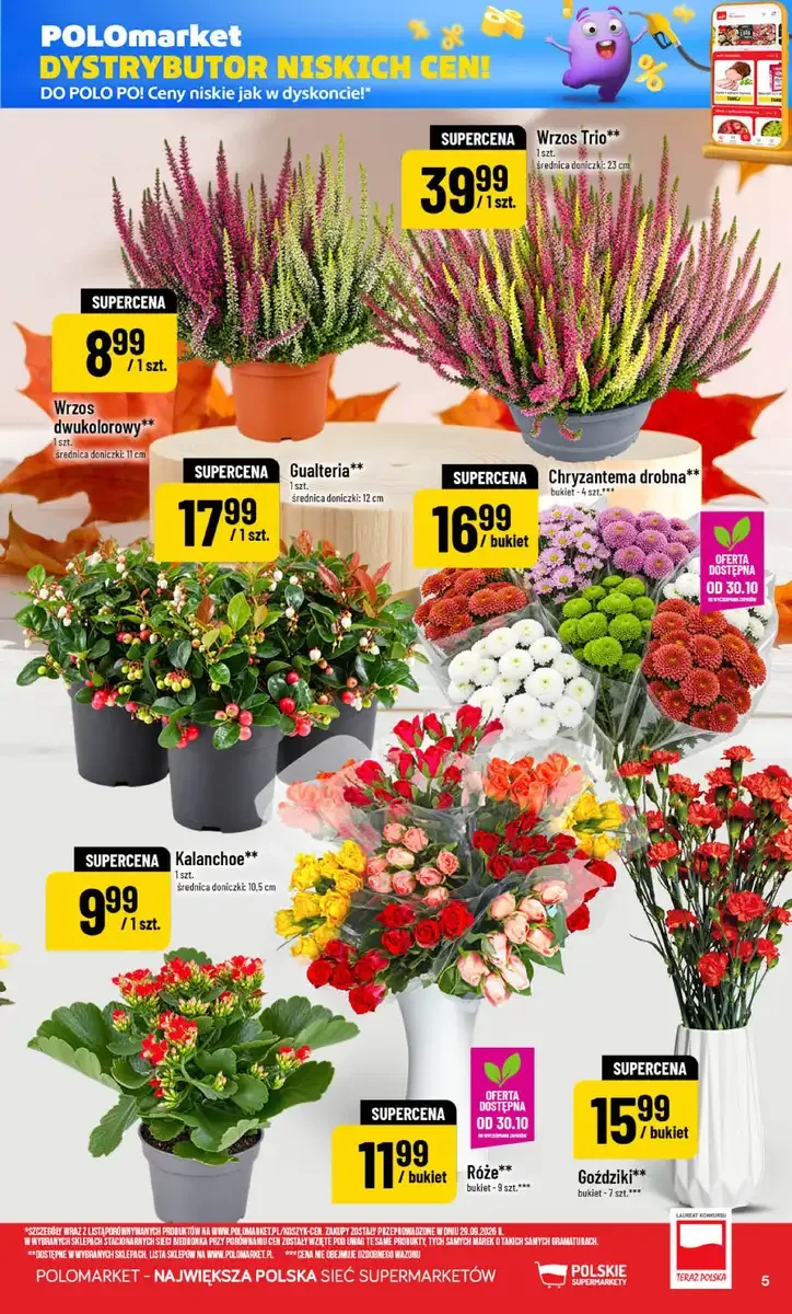 POLOmarket gazetka od 28.10.2026 – Oferta na Wszystkich Świętych - strona 5